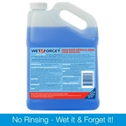 Wet & Forget Outdoor Moss, Mold, Mildew, and Algae Stain Remover Concentrate, 128 oz