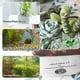 thumbnail image 5 of Decoración de bonsái Monstrate cristales naturales piedras curativas, 5 of 6