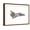 Brown Frame, variant on Art.com Cut-Away Diagram of the Space Shuttle Stretched Canvas Print Wall Art, 24" x 18"