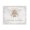 Meant To Bee Rustic Border, variant on Stupell Industries Rustic Lodge Meant To Bee Rustic Border Canvas Art, 20 x 16, by Lettered and Lined