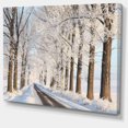 thumbnail image 2 of Belle Allée d'Hiver le Matin - Grande Impression sur Toile Forestière, 2 of 4