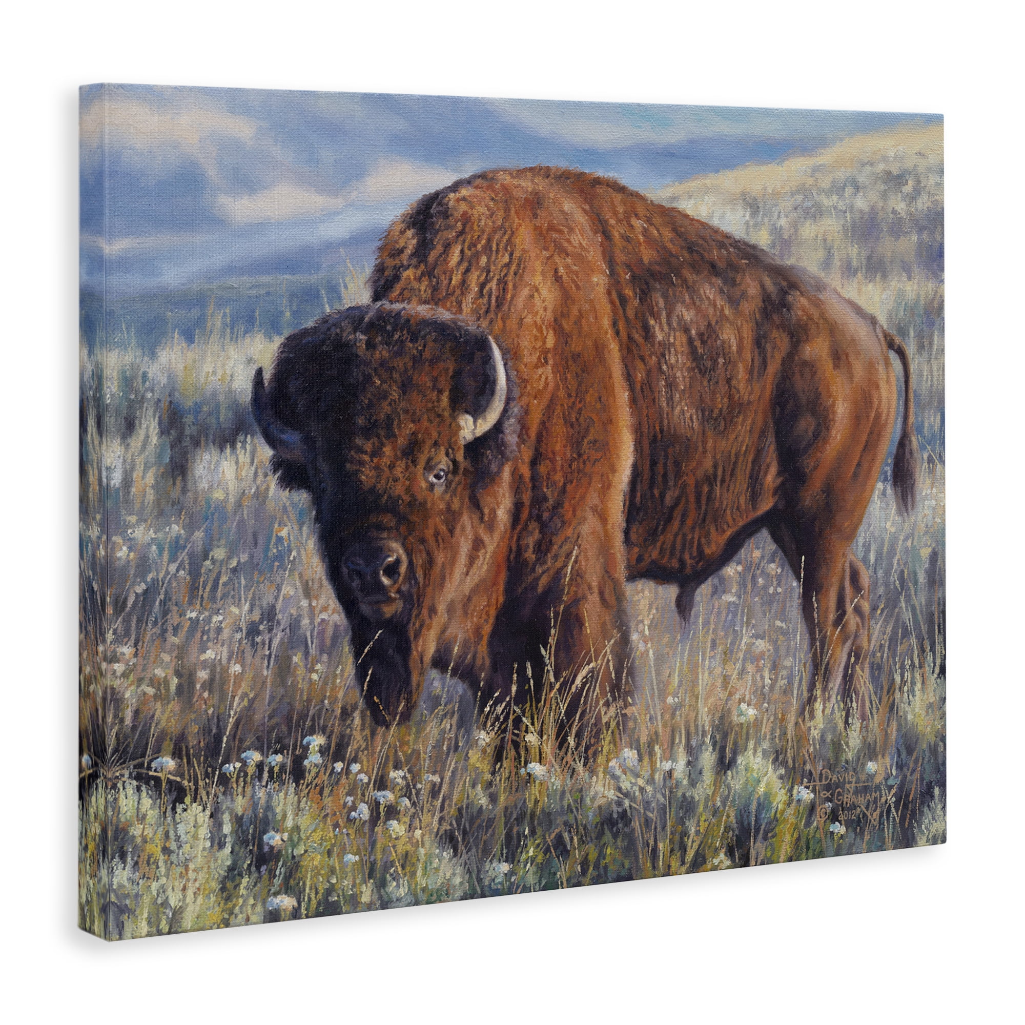 Stupell Industries Prairie King Bison Landscape Photography Gallery Wrapped Canvas Art Print Wall Art, 40 x 30