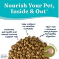Sensitive Stomach Dog Food for Adult & Senior Dogs Made with Real Quail, Chickpea & Pumpkin