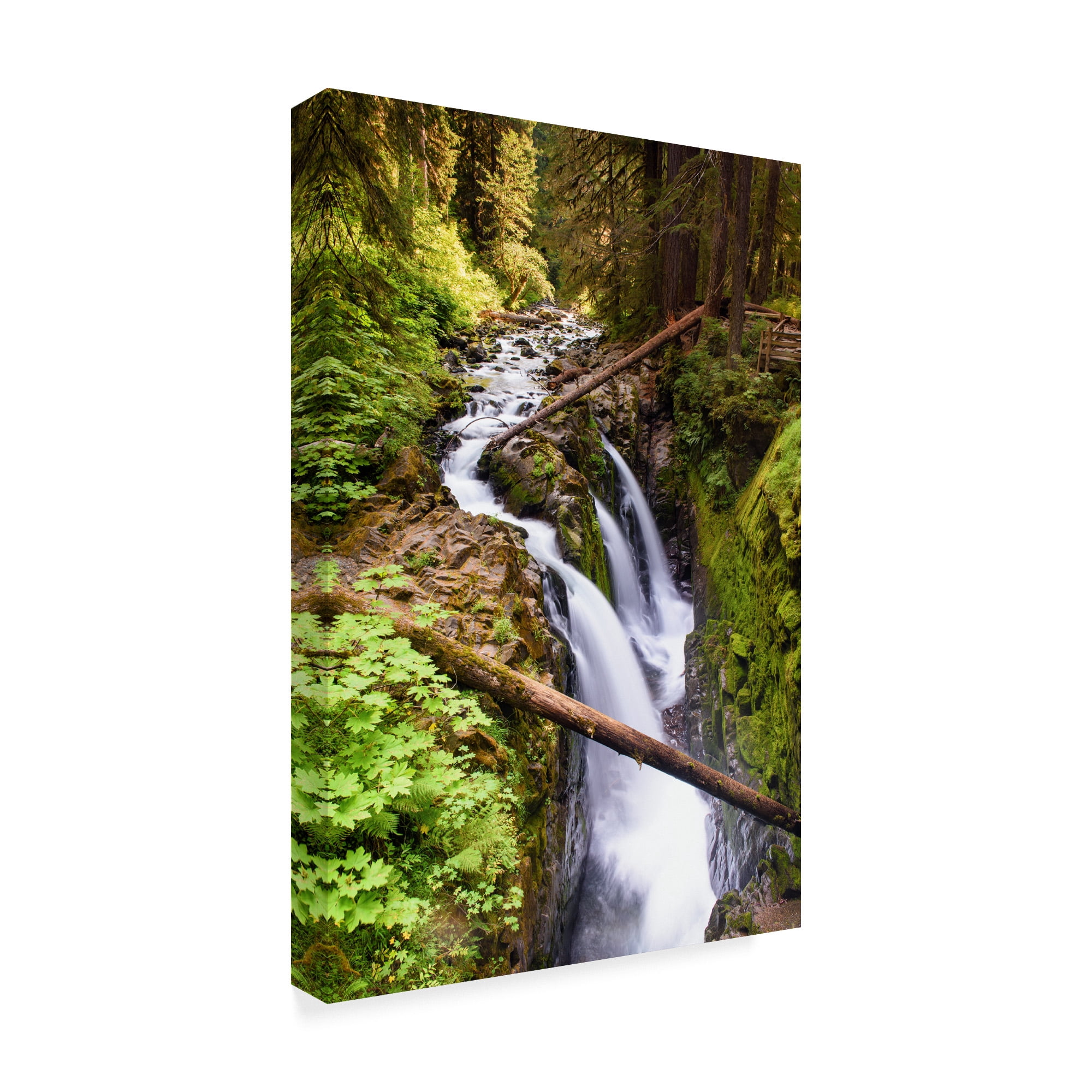 Trademark Fine Art 'Sol Duc Falls' Canvas Art by Michael Blanchette Photography