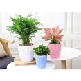thumbnail image 3 of maceta de flores de plástico ondulado helado maceta de flores suculentas l blanco Sunnimix Self Watering Flower Pot, 3 of 8
