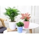 thumbnail image 2 of Maceta de riego automático de plástico ondulado Maceta hidropónica de flores de 13 cm de diámetro exterior L Blanco shamjiam Self Watering Flower Pot, 2 of 8