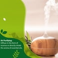 thumbnail image 3 of PHATOIL-Aceites Esenciales de plantas puras de vainilla para humidificador, difusor de Aroma, Perfume de masaje, Spa y baño con goteros, 1000ML, 3 of 3