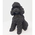 thumbnail image 1 of Conversation Concepts Figura caniche negro, 1 of 4