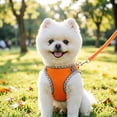 thumbnail image 3 of Durable Dog Harness and Leash Set for Walking, Step in Vest Harness with Reflective Bands for Small Dogs and House Cats Orange XS, 3 of 5