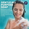 thumbnail image 4 of Zest Bar Soap Aqua (16 Bars), 4 of 5