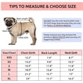 thumbnail image 3 of ASENKU Dog Winter Coat，Waterproof Non-stick Wool Pet Cotton Jacket for Small Medium Large Dogs, 3 of 8
