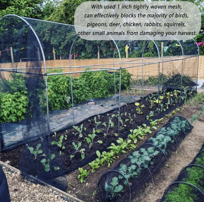 Bird Netting for Chicken Coop, 25X100FT Heavy Duty Poultry Netting for Chicken Run Roof Cover, 1In Mesh Garden Netting for Blueberry Bushes, Fruit Trees Against Bird，Hawk,Small Animals