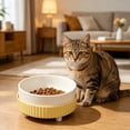 thumbnail image 6 of Ceramic Dog Food Bowl, Dog Food Water Dish for Small Breeds, Cats Pet Bowl Dishwasher & Microwave Safe, 6 of 8