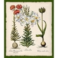 thumbnail image 3 of Lavoie, Tina 12x13 Black Modern Framed Museum Art Print Titled - Botanica Nostalgia III, 3 of 5