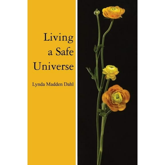 Living a Safe Universe: A Book for Seth Readers, (Paperback)