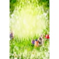 thumbnail image 2 of XDDJA Polyester Fabric 5x7ft Fantasy Glitter Backdrop Green Easter Cute Rabbit Photo Studio Background Colorful Eggs White Flowers Backdrops, 2 of 2