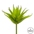 thumbnail image 3 of Vickerman 6" Artificial Green Aloe Pick, Pack of 3, 3 of 3