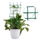 thumbnail image 4 of Soporte de flores de 6 piezas + bridas para cables de 20 piezas deje un mensaje al realizar un pedido Soporte de flores para trepar plantas ANGGREK Otros, 4 of 8