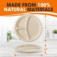 thumbnail image 4 of Cheer Collection Compostabe 9 Inch Compartment Paper Plates, Natural, 100 Pack, 4 of 5
