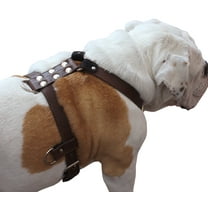 Genuine Leather Dog Harness Medium to Large 25"-32" Chest, 1" Wide Adjustable Straps (Brown)