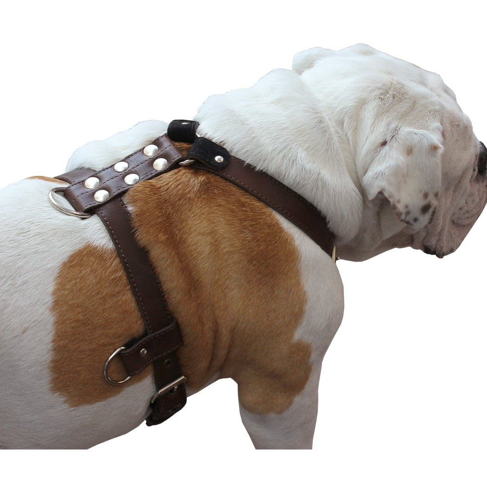 Genuine Leather Dog Harness Medium to Large 25"32" Chest, 1" Wide Adjustable Straps (Brown