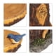 thumbnail image 3 of Baño Para Pájaros Con Gato De Dibujos Animados, Comedero Para Pájaros De Poliresina, Adorno De Escritorio Para Decoración Interior Y Exterior Advancent PT002217-00, 3 of 6