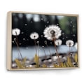thumbnail image 2 of Designart "White Black Dandelion I" Floral Floater Framed Canvas Art Print, 2 of 7
