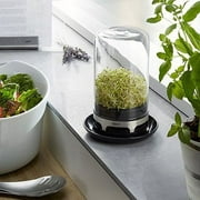 Gefu Bivita Sprouting Jar