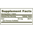 thumbnail image 2 of 5 Pack - Nature's Bounty Iron 65 mg Tablets 100 Tablets Each, 2 of 2
