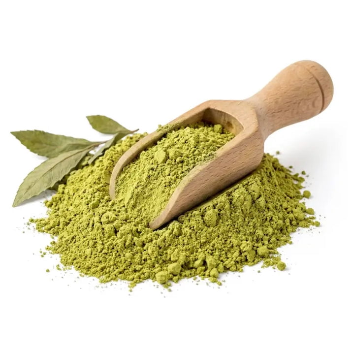 NY SPICE SHOP Damiana Leaf Powder - 1 Pound - Turnera Diffusa - Turnera Aphrodisiaca Powder - Herba de la Pastora Powder