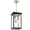 black brushed nickel, variant on Melucee Outdoor Pendant Light Fixtures, 3-Lights Exterior Hanging Lantern, Black Brushed Large Outdoor Hanging Porch Light with Clear Glass Shade
