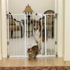 Carlson Pet Products 916040 Carls Xtl Walk Thru Gate