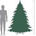 thumbnail image 4 of Northlight Real Touch™ Pre-Lit Artificial Altoona Pine Slim Christmas Tree - 7' - Clear Lights, 4 of 6