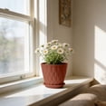 thumbnail image 3 of MKHSQHDG Today's Deals Thickened Water Ripple Pattern with Saucers for Indoor Outdoor Garden And, 3 of 4