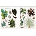 thumbnail image 4 of The Botanist's Sticker Anthology, 4 of 4