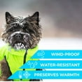 thumbnail image 5 of AiryVest Lightweight Reversible Winter Dog Coat - Warm Dog Jacket - Water Resistant Windproof - Insulated Dog Apparel for Small, Medium & Large Dogs - Comfortable Dog Puffer Vest - Black/Light Green, 5 of 50