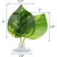 thumbnail image 2 of plantas decorativas para acuario con ventosa, hojas Betta, 2 of 5