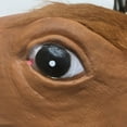 thumbnail image 2 of Cabeza Caballo para Festival Accesorios Baile Máscaras Transpirables Fiesta Y, 2 of 8