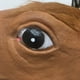 thumbnail image 2 of Likrtyny Máscara Cabeza Caballo Máscara Broma Teatro Transpirable para Interior Y Exterior (marrón), 2 of 8
