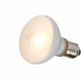 thumbnail image 1 of UVA+UVB Reptile Lamp Bulb Turtle Sunbathing UV Lamps Heating 100W, 1 of 1