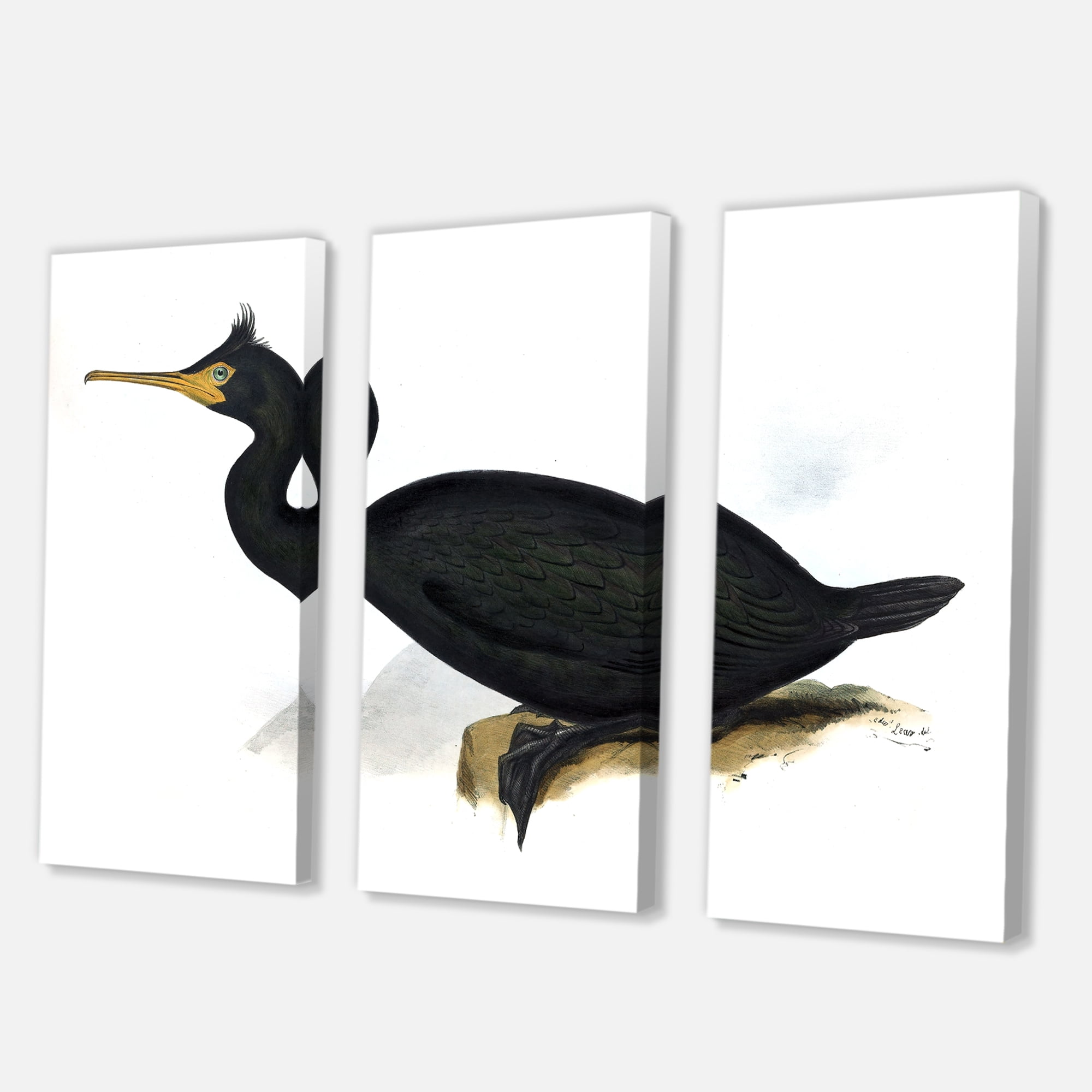 Designart ' Ancient Bird Life IV ' Traditional Canvas Wall Art Print