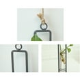 thumbnail image 5 of NSESSHome Clear Glass Test Tube Flower Vases Wall Hanging Plant Terrarium Container, 5 of 5