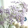 thumbnail image 5 of Artificial Silk Fake Flowers Baby's Breath Floral Wedding Bouquet Party Decor, 5 of 5