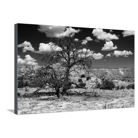 Dramatic Scenery in New Mexico Stretched Canvas Print Wall Art By Martina Roth Kunst-Foto-Design