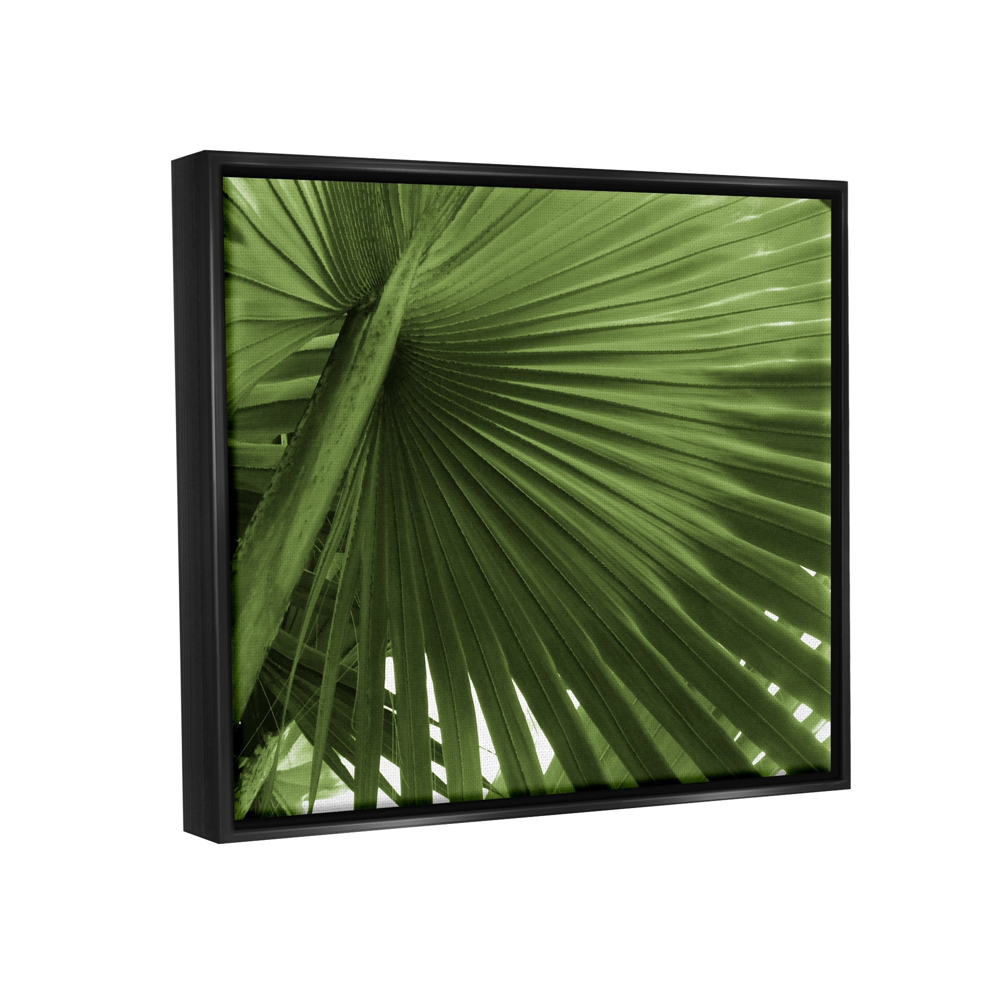 Stupell Industries Close Up Palm Leaf Lush Green Tropical Plant Photograph Luster Gray Floating Framed Canvas Print Wall Art, Design by Graffitee Studios