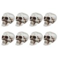 thumbnail image 1 of 8Pcs Halloween Scary Props Small Skulls Tiny Skull Model Fake Skull Decor for Party, 1 of 8