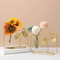 thumbnail image 4 of Nordic Hydroponics Vase Transparent Flower Planter Planter Flower Pots Flower for Desktop Decoration, 4 of 8