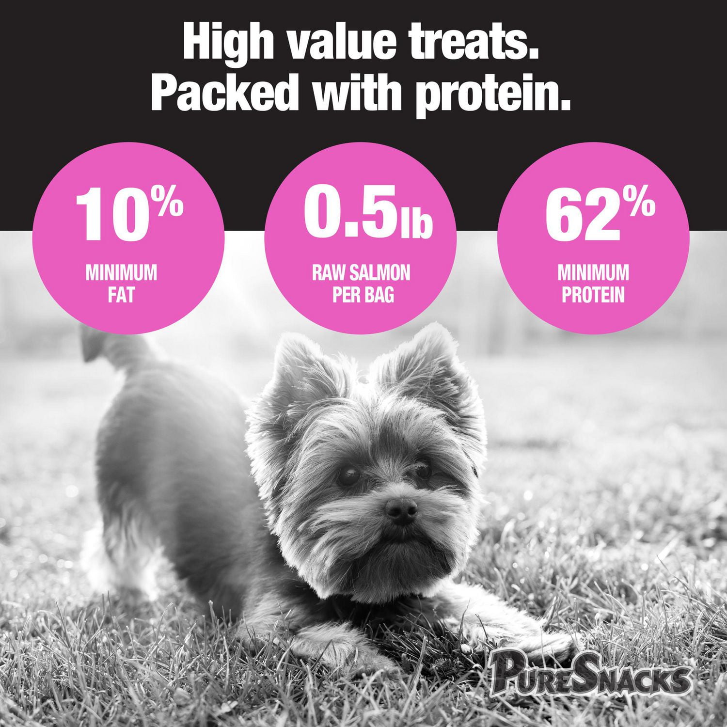 Mini-PureSnacks gâteries séchées à froid pour chien, Saumon, 57 g