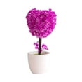 thumbnail image 1 of LUXLEVO Heart Shaped Bonsai Mini Potted For Home Desk White Small Ornamental Tabletop Decorative Flowers, 1 of 6