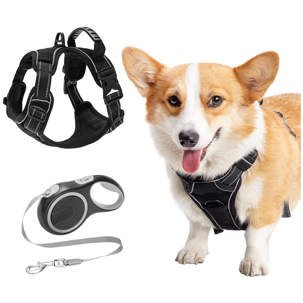 No Pull Dog Harness and Leash Set,Adjustable Reflective Vest Harness for Medium Large Dogs